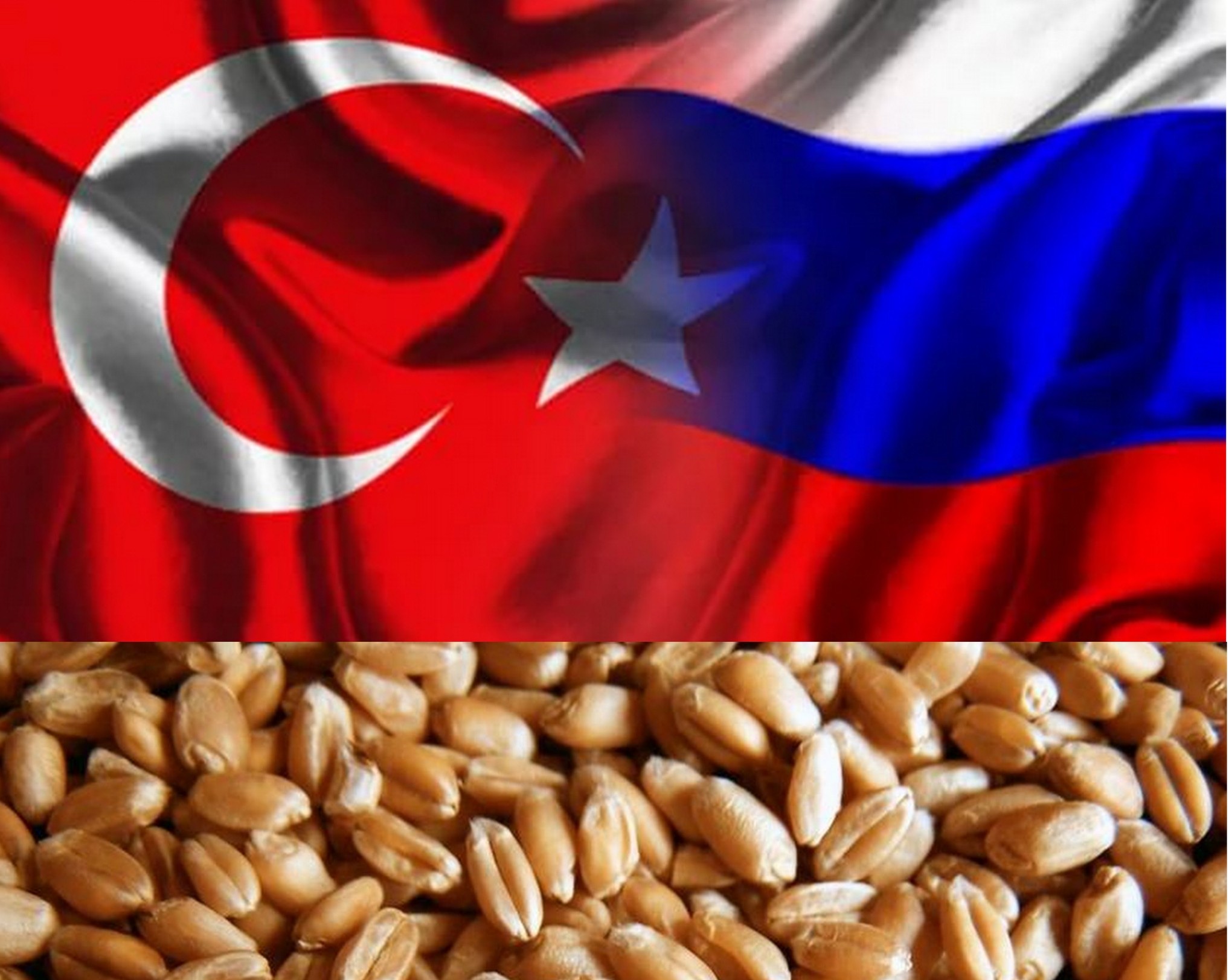 СМИ: Турция ввела новые ограничения на импорт российской пшеницы