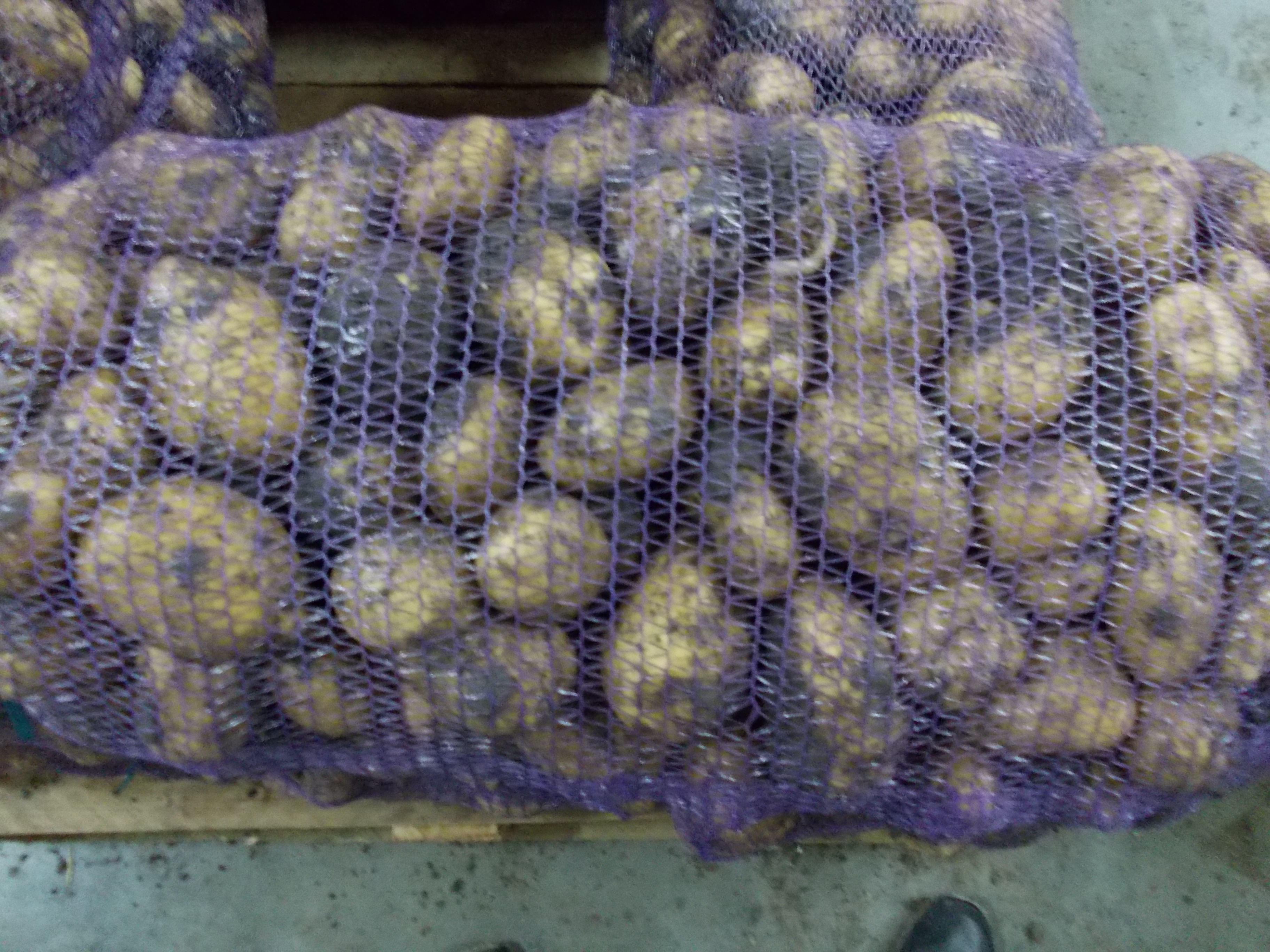 Картофель в сетке 25 кг